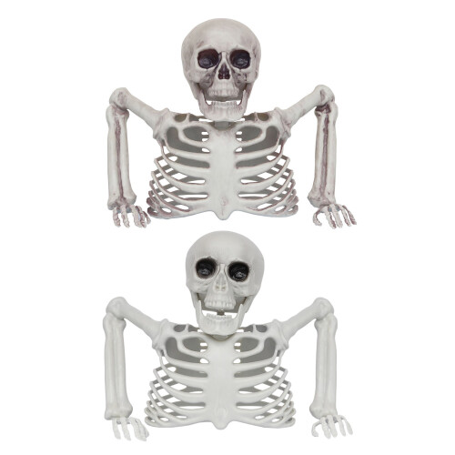Half Body Skeleton Props Plastic Skull Figurine Ornament-A 1