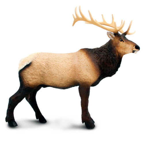Safari Ltd. Älgfigur - Realistisk 8" Modell för Barn 3+