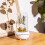 Eternal Flower Aroma Diffuser with RGB Lights USB Powered 4