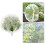 Plant Shielding Barrier Shelter With Convenient-1x1.5 M 3