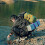 Regulable Webbing Carabiner Hook Backpacks-1Army green 7