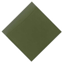 Visionneuse de champ magnétique Feuille de-100X100MM