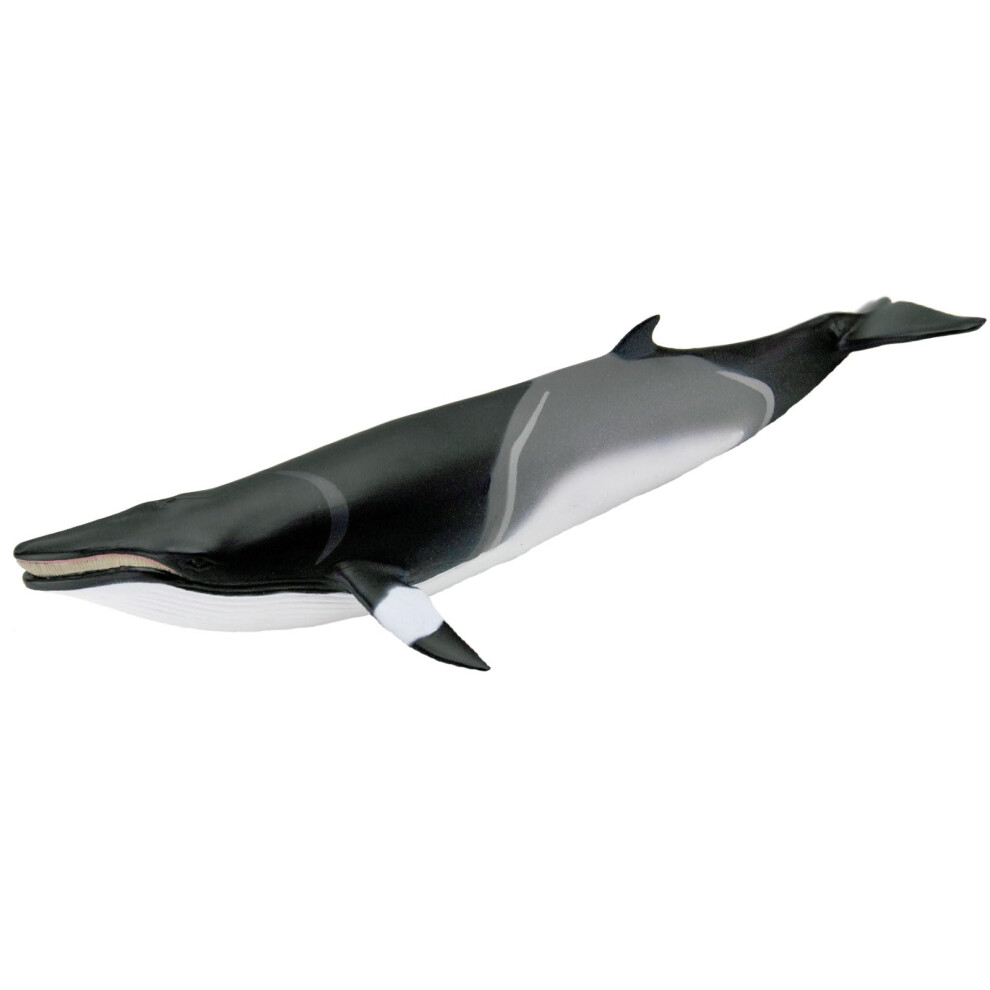 Photos - Action Figures / Transformers Safari Ltd. Minke Whale Figurine - Hand-Painted, Lifelike 7" Model Figure - Educational Sea Life Toy for Boys, Girls & Kids