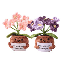 Wezdopu 2PCS Emotionale Unterstützungs-Plüschblumen mit Positiver Karte für Wohnraum Auto Büro