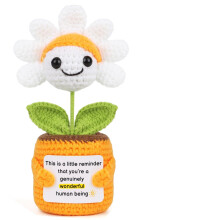 Sizobi Positive Häkelblumen Geschenke, Handgemachte Emotionale Unterstützung für Freund, Lehrer, Schwester, Mutter