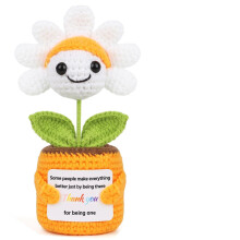 Sizobi Valentijns- en Galentijnsgeschenken voor Vrouwen - Dank U Geschenken Positieve Daisy