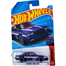 Hot Wheels '87 Buick Regal GNX Treasure Hunt! [Purple] Night Speed 1/10, 9/250, 1:64 Scale Diecast Toy Vehicle