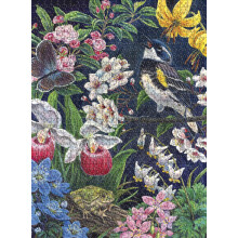 Buffalo Games - Linda Howard Bittner - Serenade d'Oiseaux - Puzzle de 1000 Pièces pour Adultes