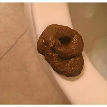 Bruine Realistische Neppoep, Grappenpakket voor April Fools Halloween, Perfecte Hilarische Gag Gift, Noviteit