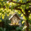 Large Capacity Outdoor Wildlife diet Container produced From 7