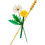 LEGO LEGO Botanicals Field Flowers 30701 1