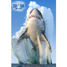 Puzzle 3D | Discovery | Semaine des Requins | 150 pièces | Taille finie 18" x 12" | Amusant pour enfants et familles