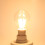 6W varm hvit E27COB LED-glødelampe 360 5