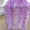 Sheer Voile Curtain Panel Floral Print 100 inch Polyester 4