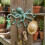 Artistic Iron Octopuses Shaped Hook For Home-patina red 5