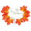 Esdoornblad LED-lichtslinger – 20 lampjes, 3 meter, 3