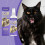 Yegbong Cat Training Spray Guide Pets Correctly Correct Pointing To Correct Pointing Habits Home Protective Spray 2