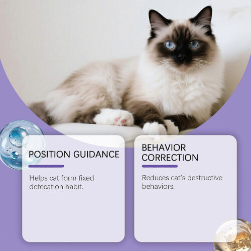Yegbong Cat Training Spray Guide Pets Correctly Correct Pointing To Correct Pointing Habits Home Protective Spray 2