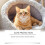 Yegbong Cat Training Spray Guide Pets Correctly Correct Pointing To Correct Pointing Habits Home Protective Spray 4