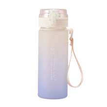 600-ml-Wasserflasche mit Farbverlauf und Tee-Ei