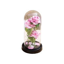 LED-Nachtlicht mit konservierter Rose, 8,5 Zoll