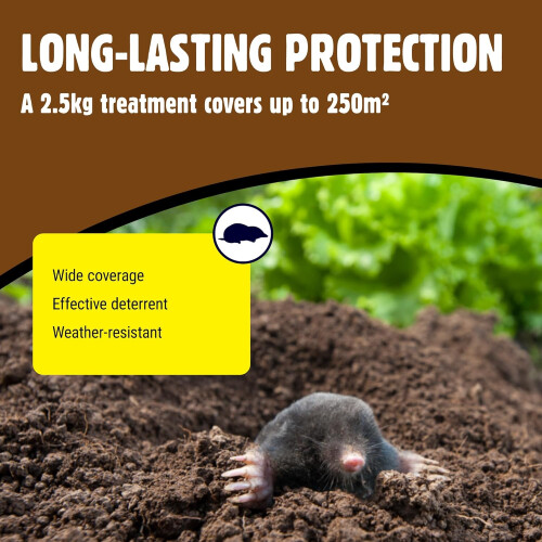 The Big Cheese Mole Repellent Granules 2.5kg 2