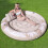 (white, 190*165cm) Inflatable Water Float Leaf Pool Lounge Party Floating Chair Water Bed 1