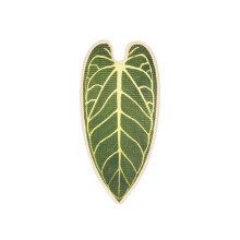 Multifunctional Sisal Cats Scratcher Pad Space Saving-anthurium