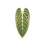 Multifunctional Sisal Cats Scratcher Pad Space Saving-anthurium 1