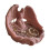 Angel Wing Shape Jewelry Storage Plate Plastic Texture for-Pink 1