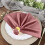 Βελούδινες χαρτοπετσέτες BalsaCircle 20x20 ίντσες Dusty Rose (5 τεμάχια) 5