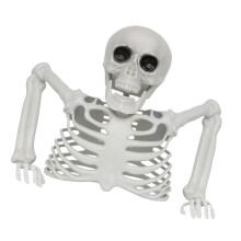 Plastic Half Skeleton Props Perfect For Halloween Themed-B
