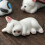 Miniature Animal Fork and Chopstick Rest Stand 4