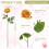 50 rose artificiali nere realistiche con stelo 2