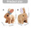 Le jouet interactif de lapin en peluche-un peu de jaune 4