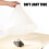 Compact Cone Shape Softbox For Small LED Light Studio-M 3