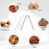 Nut Cracker and Walnut Pliers Kitchen Tool Set 4