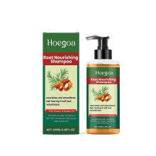 Hoegoa Botanical Moisturizing Shampoo - Gentle Cleansing, Caring for Hair, Lightweight, Natural Shine, Smooth Shampoo