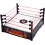 Mattel WWE RAW RING 1