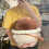 Shiitake-sienipehmotyyny 39 cm 5