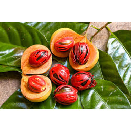 100g Organic Whole Nutmeg Jaiphal Jaifal Jatiphal 2