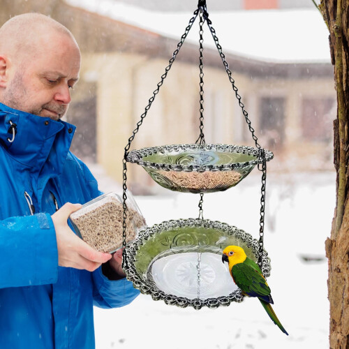 Matte Black Hanging Bird Feeder with Iron Mesh Tray 2