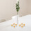 Διαφανές πλαστικό κουτί κερμάτων, 20 τεμάχια, 5,5x3x3cm 5