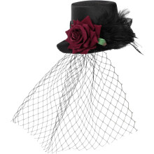 Retro hoge hoed voor Halloweenfeest in vintage stijl met veren en mesh-details.