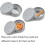10 Pack Dog Round Scent Training Box Smell Training Nose Working Dog Training Tools 3