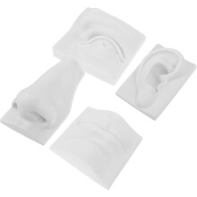 Gypsum Facial Features Sculpture Model Sketching Model Set for Students
