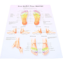 Fußreflexzonen-Diagramm Wandposter 38 x 30 x 40 cm – Poster zur Aufklärung über Fußmassage