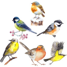 Autocollant anti-collision pour fenêtre, motif oiseau, 3D, en PVC statique, sans colle.