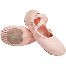 Chaussons de ballet pour adultes, chaussures de danse pour femmes, semelle souple, pour la pratique Ă domicile, rose