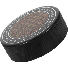 2 Stück Keramik-Vorratsdosen in Form einer Kaki, tragbare Teekanne, 200 ml